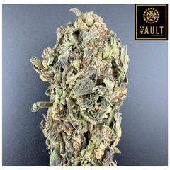 14g - ALIEN TITS - 2oz for $100 (AAA)