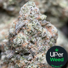 (28G) - Phoenix Haze 🐦‍🔥 Sativa - 2 Oz Left