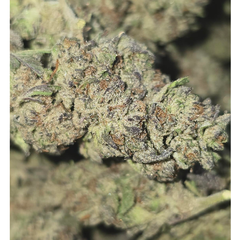 PRE 98 BUBBA KUSH AAAA  $70oz 2FOR$130 4FOR$240