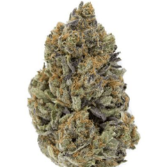 $200 FOR QP - Tom Ford 