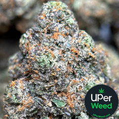 (28G) - Alien Blackout👽😵Indica | 2Oz Bulk Deal for $210