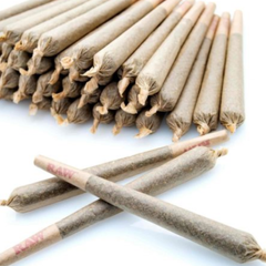 KING SIZED PRE JOLLED JOINTS - $5 EACH