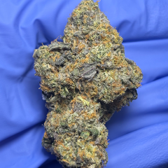COFFIN CANDY (Runtz x Strawberry Zkillato) bred by Doja Pak