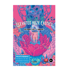 Elevated Haze Exotics -{ 5 🌟🌟}FREEBIE ON H/o