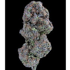 BC Cactus Jack – 14G 120$ – Sativa