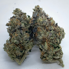 *NEW* Tomb  Raider 4A 