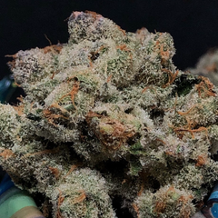 (QUADS)B.C. Greasy Pink ⚡50% off was$320 Now $160 Hand_Crafted_Weed✅11 Weeks