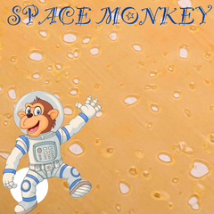SPACE MONKEY SHATTER AAAAA+