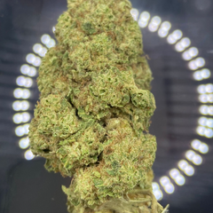 *NEW* Grape Stomper 3A 