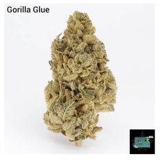 1 ounce $65 - 2 ounces $100 - Gorilla Glue 4 - AA