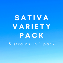 * Sativa Variety Pack