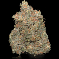 BC Brick - Pink Versace - 28G Deal - Heavy Indica Gas - High THC 32%