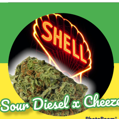 80$ oz AAA+ sour diesel x cheese 27%+ thc 🔥👵🏻🔥