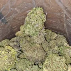 AAA Cinderella's Dream