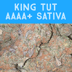 $150 per Oz ðŸ‘‘king Tut AAAA+ sativa ðŸ’¨ðŸ”¥