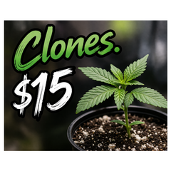 Canna-corp-canada.com 