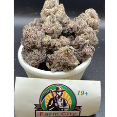 GAS FACE - SALE 160/oz