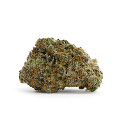 ANIMAL COOKIES 