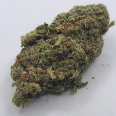 AA+ Durban Poison 2OZ for 80