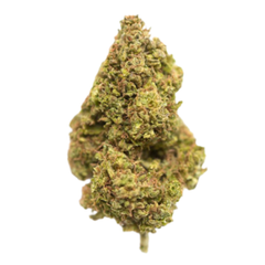 Bear Mace | 4A DEAL