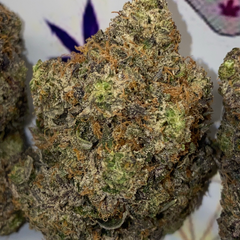Pink El Chapo ⛽️🔥