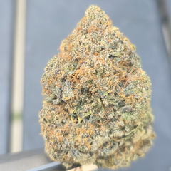 Blueberry Trainwreck AAAA+