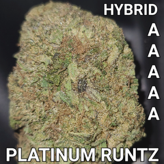 # 66% OFF  7⭐   PLATINUM RUNTZ (STRONG KUSHY FROSTY HYBRID) AAAA++ ($95 OUNCE SALE) REG $280 