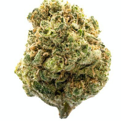 AAAAA** Pink Poncho(AAAAA)