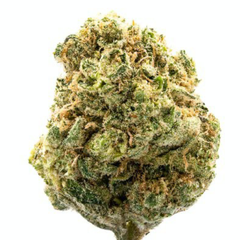 BLISSFULL WIZARD (SALE)