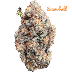 SNOWBALL | AAAA+| 31%THC| BUY 1 GET 14G FREE