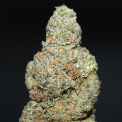 AAA+ | AIRHEADZ BY MTG GENETICS - 7G