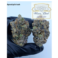 * APOCALYPTO KUSH AAAA+ (Indica Dom Hybrid) - BC FLAMES COLLECTIVE