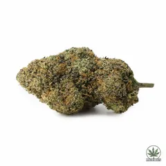 Amnesia Haze $5/Gram Special - 1/2oz (14g)