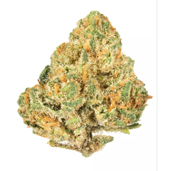 Alien OG AAA