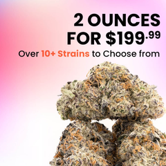 **** COMBO DEAL AAAA *****