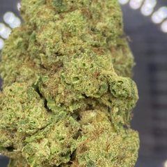 *NEW* Northern Wreck 3A