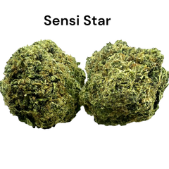 **Sensi Star | AAA| 27%THC | 2 OZS= $140