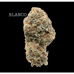 BLANCO