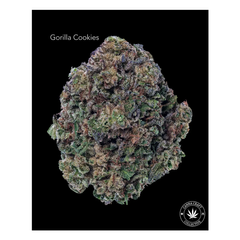 AA+ - GORILLA COOKIES