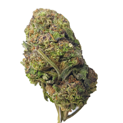 BC (AAA) CHERRY CAKE