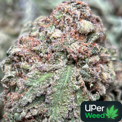 (28G) - Purple Snake 🐍⛽Indica | Bulk Deal for $200