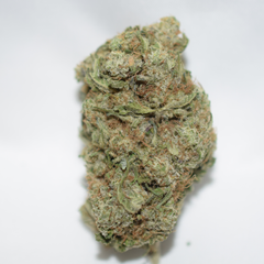 Critical Mass Indica Dominant Hybrid AAA 