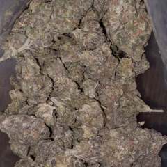 🍪🍬 Sour Biscotti AAA+  - | 2oz’s FOR $170 | SATIVA |