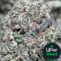 (28G) - Big Baby Bud ⛽🪽 Indica | 4Oz Bulk Deal for $260