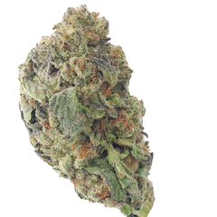 BC (AAA) PURPLE KUSH 