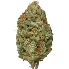 Bubblegum