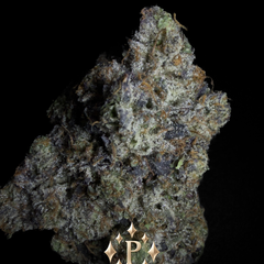 [NEW] LSO Pink Azul AAAA+(5*)