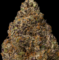 AAAAA Root Beer By HUSHFARMS *DIAMOND DUSTED*