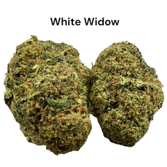 **White Widow | AA+| 27%THC| 2 OZS= $135