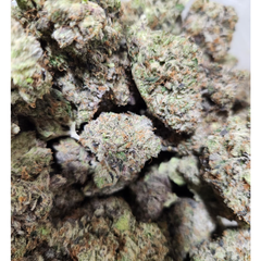 Gas Chambers 5A😮‍💨 **$85 h/o, $160 oz** 
